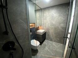 Irwell Hill Residences (D9), Apartment #456574671